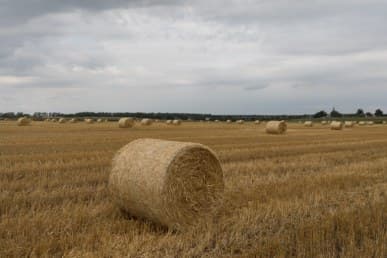 1/1600 c, с профилем