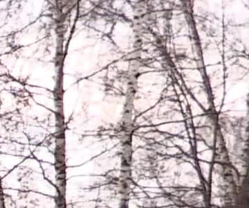 Видеокамера Canon XC10