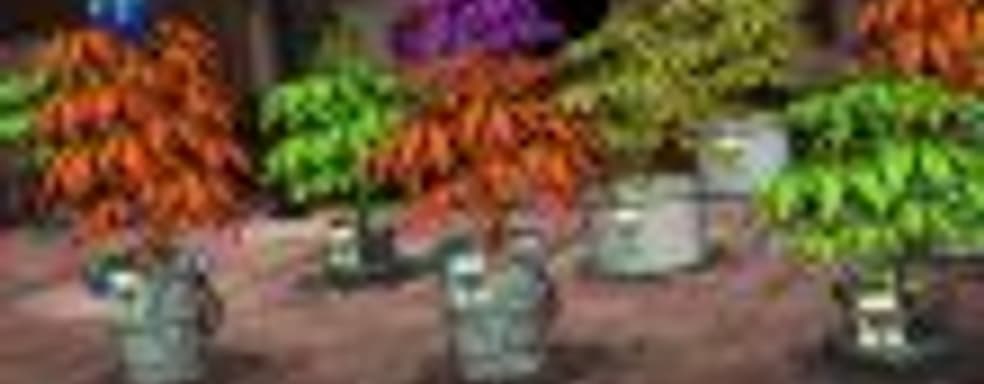 «Конопляный магнат» Weedcraft Inc. попал в немилость Facebook и YouTube