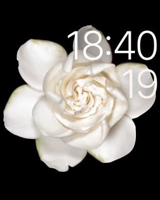 Скриншот Apple Watch