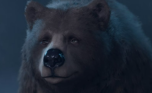 Фанаты Baldur’s Gate 3 считают, что раскрыли крупный секрет Хальсина. Похоже, друид всех ловко обманывал