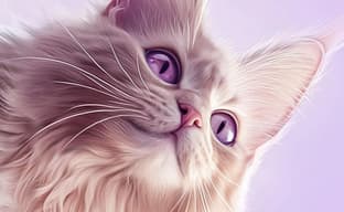 Создатели Catly опровергли слухи об использовании ИИ, блокчейна и NFT