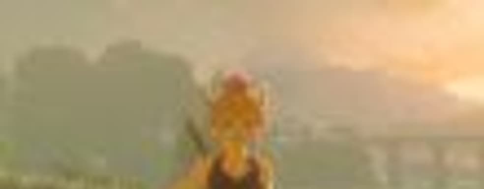 Боузетта пробралась в The Legend of Zelda: Breath of the Wild