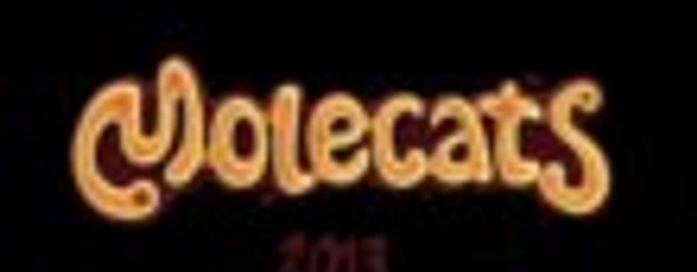 Molecats в этом году