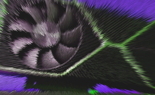 Insider Reveals Specs of Regular GeForce RTX 4070. Like 4070 Ti, but Slightly Worse