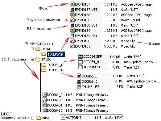 структура данных на карте памяти камеры Epson L-500V