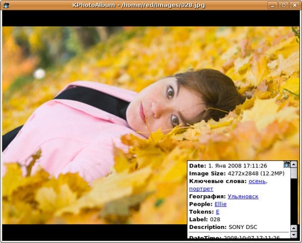 Просмотр фотографий в KPhotoAlbum