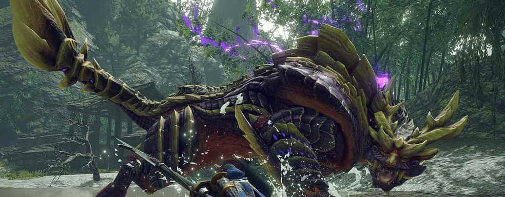 Глава компании дал сотрудникам выходной в связи с выходом Monster Hunter Rise