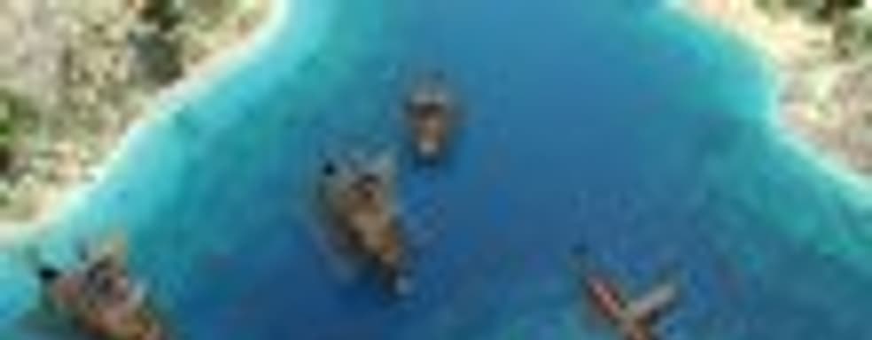 Разработчики стратегии 0 A.D. собирают средства на Indiegogo