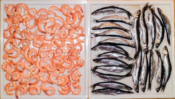 Дегидратор Rawmid DDV-06/07