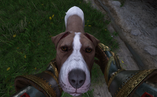 Kingdom Come Deliverance duology creator would like to make a realistic RPG about Vikings or Crusaders