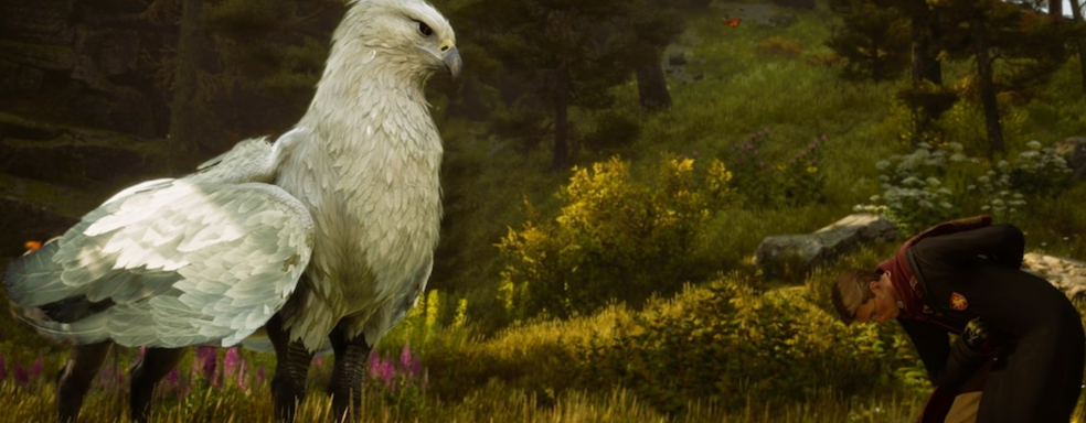 Авторы Hogwarts Legacy раскрыли статистику игроков за два года со дня релиза — в игре провели уже более 100 000 лет