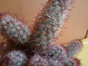 Обзор Sony Xperia Z Ultra. Пример фотографии