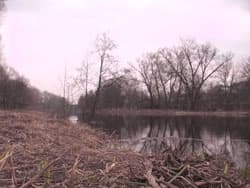 Посмотреть в полном размере