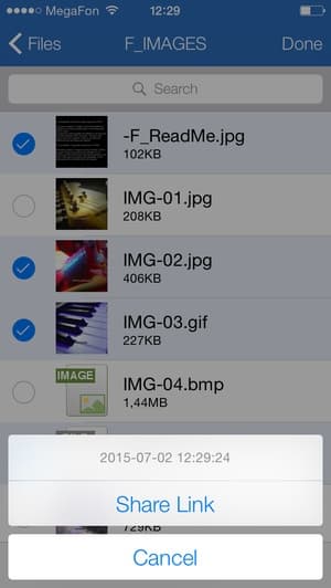 Интерфейс утилиты Pogoplug на iOS