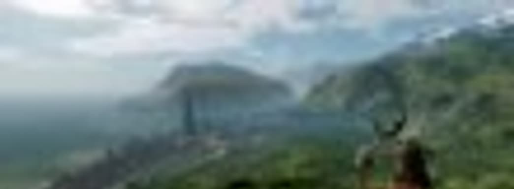  При создании мультиплеера Wild Мишель Ансель вдохновляется Bloodborne и играми серии Souls