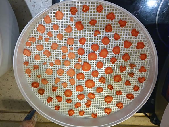 Электросушилка для продуктов Ротор «Дива» СШ-007