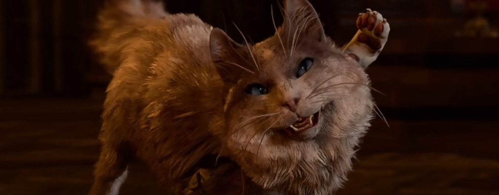 Baldur's Gate 3 полностью прошли за котиков. Игра Larian раскрылась с новой стороны