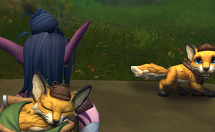 Для WoW представили благотворительный донат. Новый комплект вдохновлён фильмом «Удивительная жизнь Ibelin»