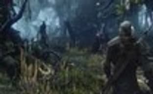 При создании The Witcher 2 разработчики вдохновлялись Dark Souls