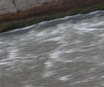 Видеокамера Canon XF405