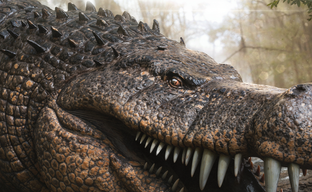 В ARK Survival Ascended официально появится самый загружаемый мод-динозавр: первый взгляд на дейнозуха