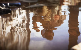 DNS будет продавать GeForce RTX 4070 Ti в России. Объявлена дата и время начала продаж