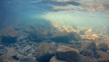 Экшн-камера AC Robin Zed2