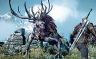The Witcher 3: Wild Hunt — Зрение Ведьмака, боевая система и другие детали