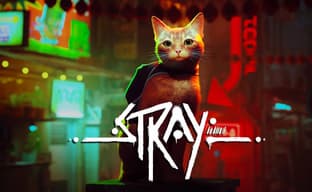 Кошачий хит c PlayStation потеряет консольную эксклюзивность? Похоже, Stray скоро выйдет на Xbox
