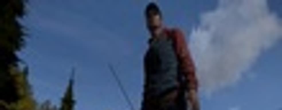 Продано более 800 тыс. копий DayZ