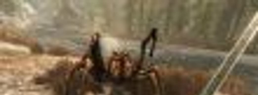 Слух: Skyrim VR – «полная катастрофа»