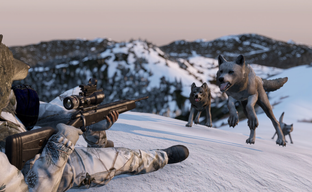 DayZ получит дополнение Frostline с зимней картой