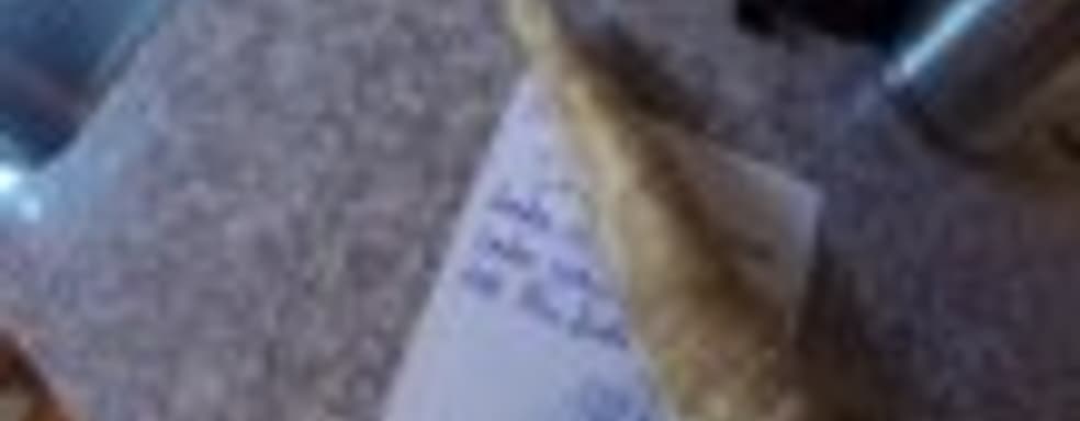 Octodad: Dadliest Catch – Shorts DLC этим летом