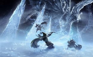 An Interesting Concept That Quickly Becomes Monotonous. First Reviews of Elden Ring Nightreign Have Appeared