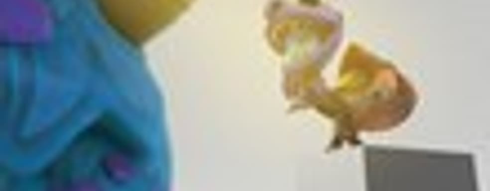 Disney Universe: Lion King 