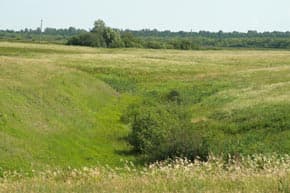 Capture One 4 + Pre sharpening 1