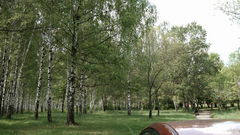 Видеосъемка фотоаппаратом Leica SL (Typ 601)