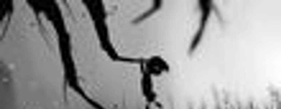 Создатели Limbo работают над новой IP