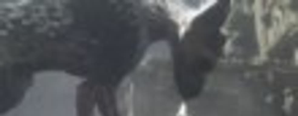 Слух: The Last Guardian так и не увидит свет [Обновлено]