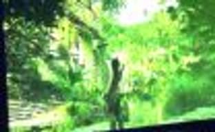 Похоже, GeForce RTX 2080Ti не обеспечивает стабильные 60к/c в разрешении 1080р в Shadow of the Tomb Raider при включённой Nvidia RTX