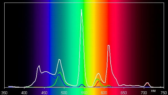 Spectrum