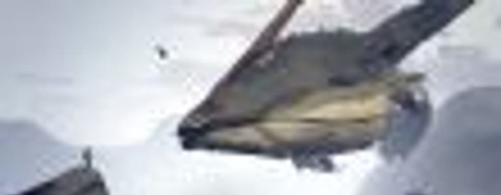 Трейлер боевой ролевой игры Ashen