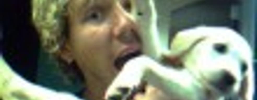 Портрет казуального игрока-2008 – версия от Big Fish Games и Alawar Entertainment