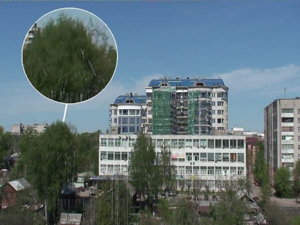 Посмотреть в полный размер, 230 КБ