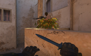 Team Spirit заключила контракт с 9-летним геймером, наигравшим более 7800 часов в Counter-Strike 2