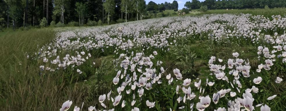 Вот как бы выглядела обновленная Kingdom Come для PS5 и XSX. Фанаты показали улучшенную игру с трассировкой лучей