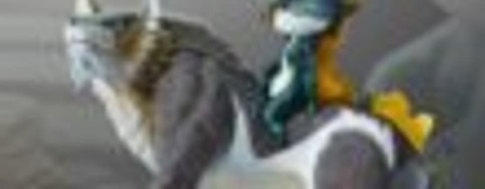 Новая часть The Legend of Zelda и The Legend of Zelda: Twilight Princess HD выйдут на Wii U в 2016