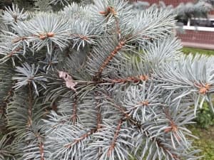 Обзор Samsung Galaxy Note 2