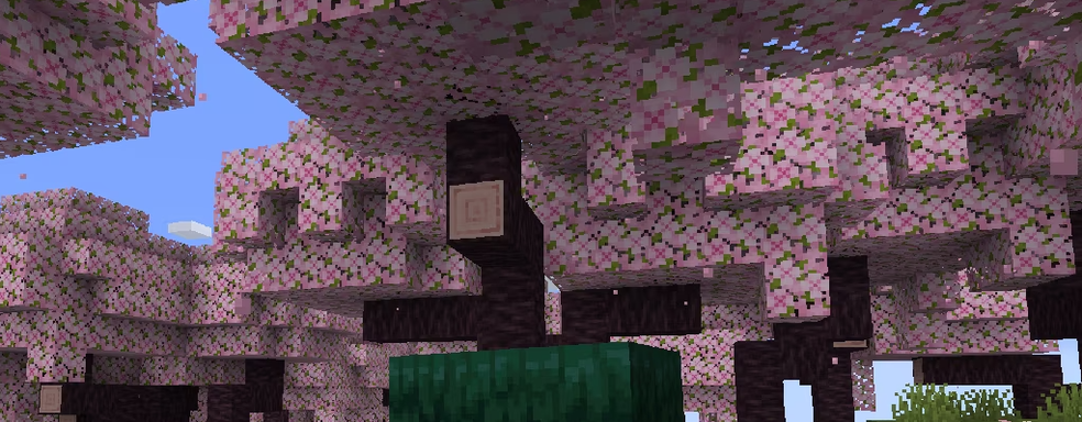 Minecraft получит новый биом. Mojang представила долгожданный контент